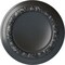 Ekena Millwork Carlsbad Ceiling Medallion (Fits Canopies up to 7 7/8"), Hand-Painted Pewter, 12 1/2"OD x 1 1/2"P CM12CAPES - alternate 1
